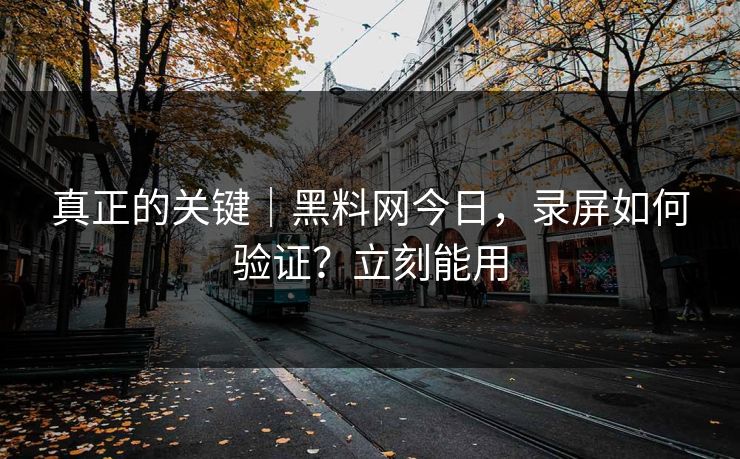 真正的关键｜黑料网今日，录屏如何验证？立刻能用
