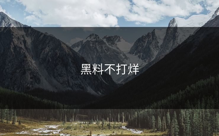 黑料不打烊