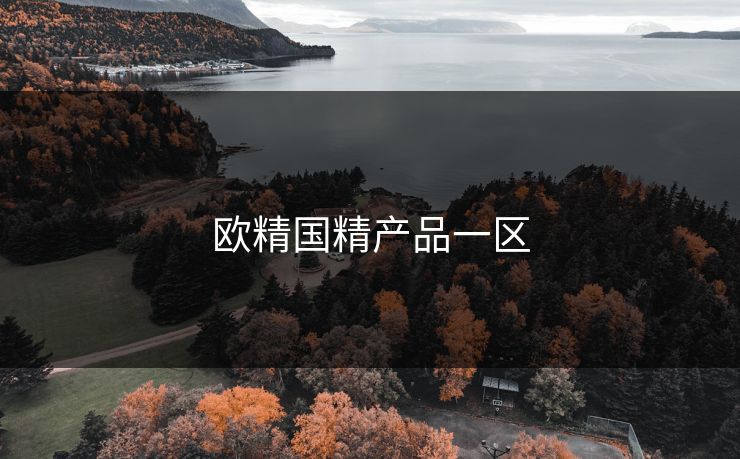 欧精国精产品一区 欧精国精产品一区