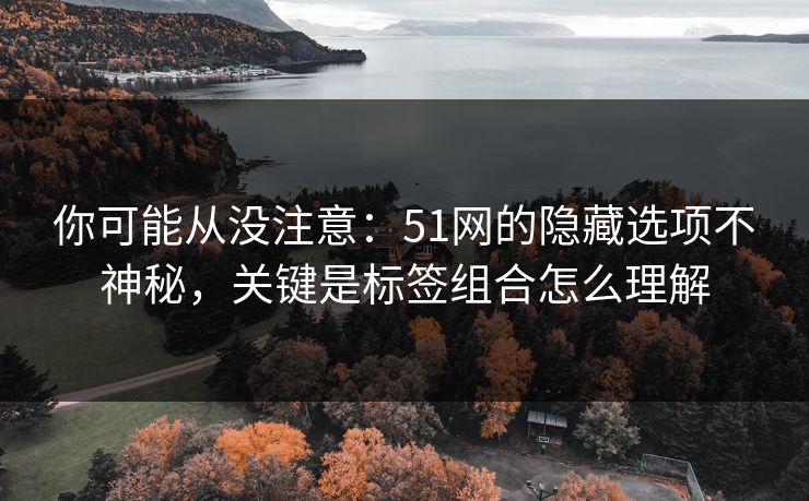 你可能从没注意:51网的隐藏选项不神秘,关键是标签组合怎么理解 你可能从没注意:51网的隐藏选项不神秘,关键是标签组合怎么理解