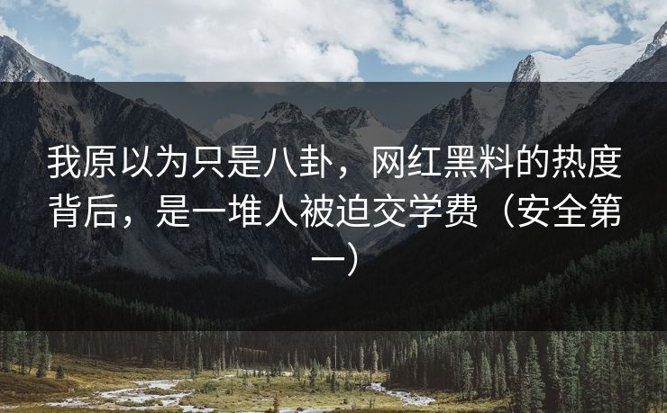 我原以为只是八卦，网红黑料的热度背后，是一堆人被迫交学费（安全第一）